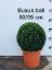 Picture of box ball 50cm